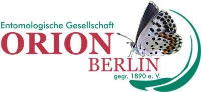 Fichier:Orion.png