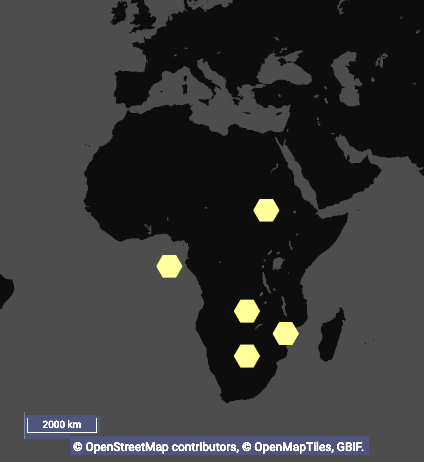 Fichier:Alloafrique.png