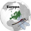 Fichier:Odoeur.png