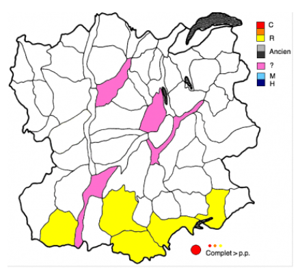 Fichier:Coecaera1.png