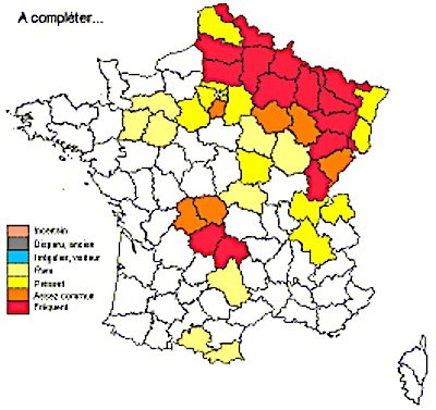 Fichier:Aesgrafr1.jpg
