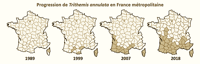 Fichier:Triannfr.png