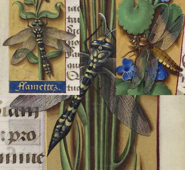 Fichier:Bourdichon1503.jpg