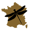 Fichier:Odfr.png