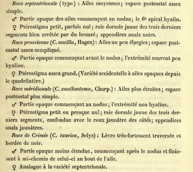 Fichier:Calsplselys1853.jpg