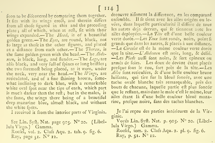 Fichier:Textcalvirdrury.png