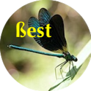 Fichier:Best.png