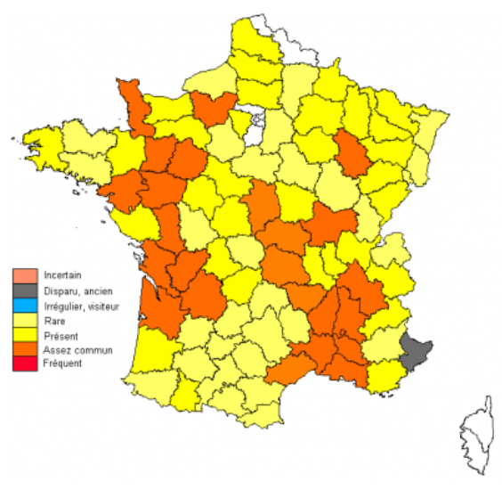 Fichier:Coemer2012.png