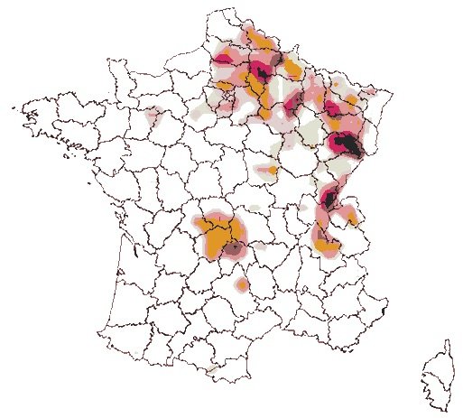 Fichier:Aesgrafr.jpg