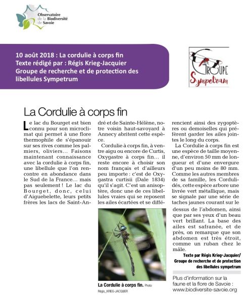 Fichier:Lacsoxycur.jpg