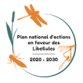 Vignette pour la version du 20 février 2026 à 23:07