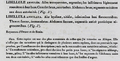Vignette pour la version du 30 septembre 2024 à 16:57