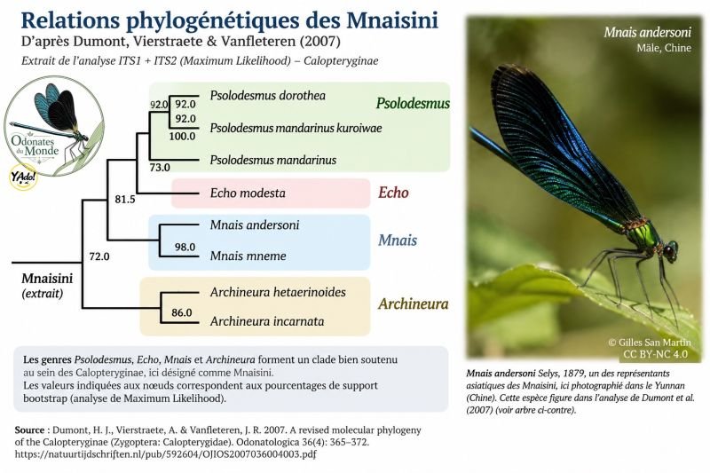 Fichier:Mnaisini.jpg