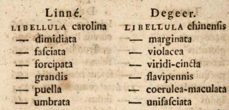 Fichier:Retzius1783.png