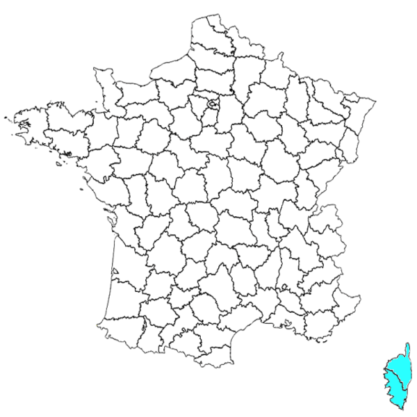 Fichier:Lintetfr.png