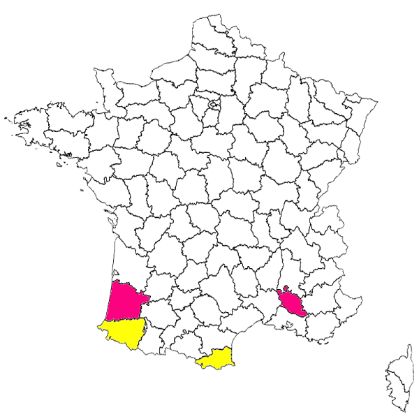 Fichier:Iscgra.png