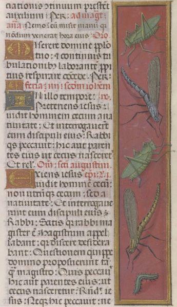 Fichier:Carta135r.jpg