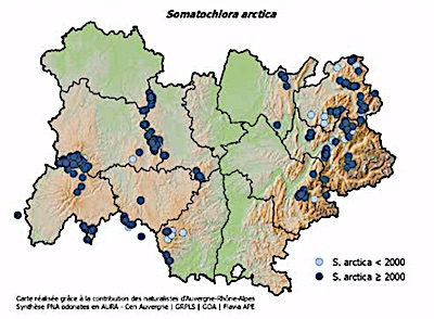 Fichier:Somarcaura.jpg