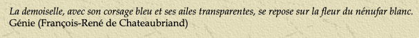 Fichier:Chateaubrian.png