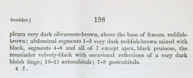 Fichier:Dipabjscudder1866b.png
