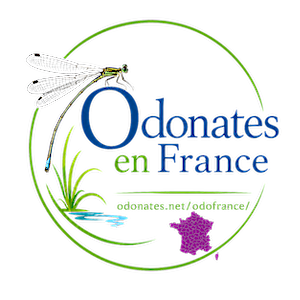 Fichier:ODFR.png