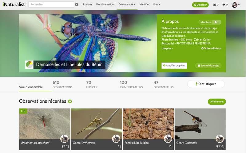 Fichier:INaturalistbenin.png