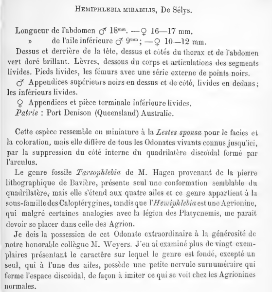 Fichier:Hemmirselys.png