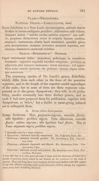 Fichier:Newmann511.jpg