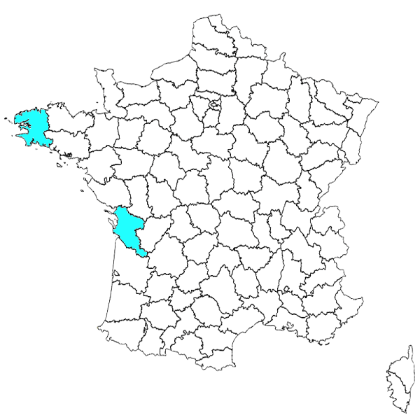 Fichier:Anajunfr.png