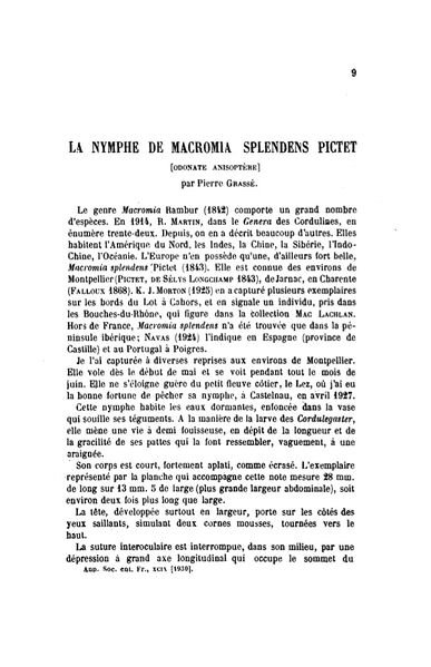 Fichier:Macsplgrasse.jpg