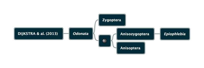 Fichier:Dijkstra2013.jpg