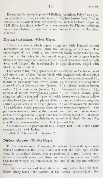 Fichier:Dipabjscudder1866a.png