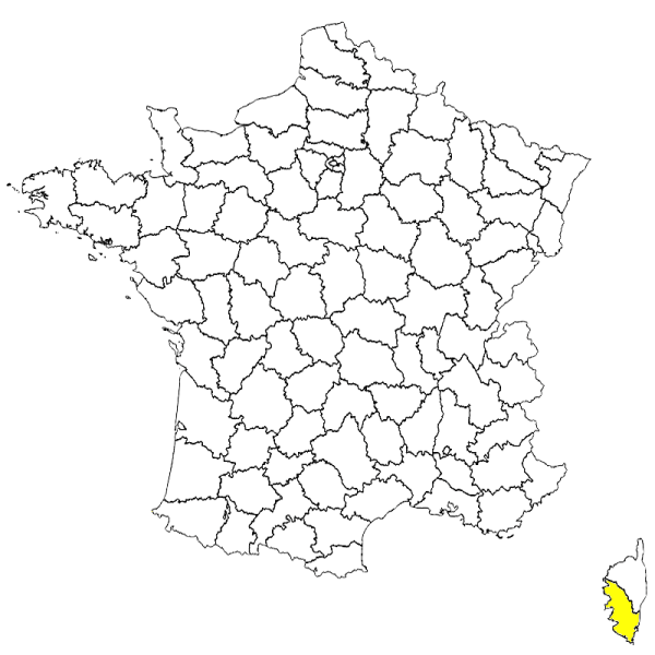 Fichier:Chapar.png