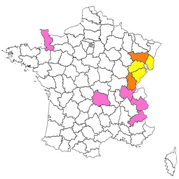 Fichier:Aessubfr.png