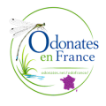 Vignette pour la version du 27 mai 2026 à 19:23