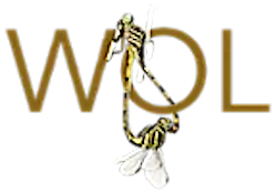 Ajustements à voir avec la World Odonata List